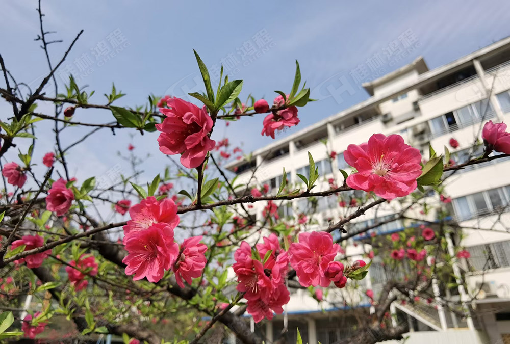 桂林鴻程花團(tuán)錦簇，滿園春色，邀您一起共賞春景，共商大計(jì)！